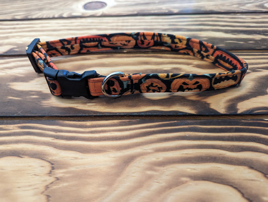 Crazy Pumpkins Collar